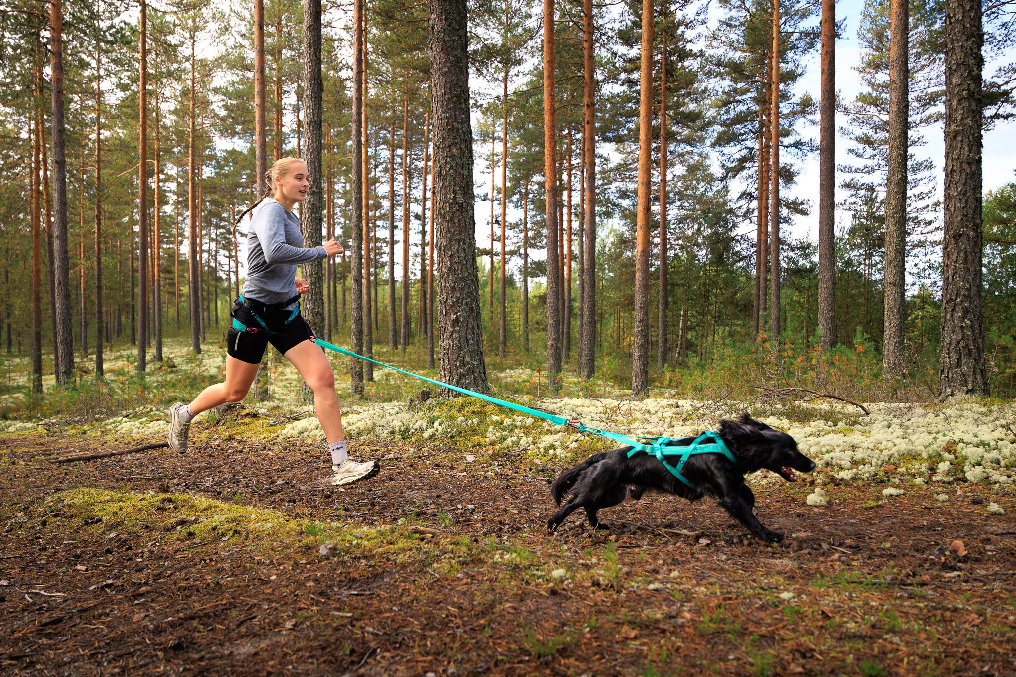 Unleash Your Dog's Potential